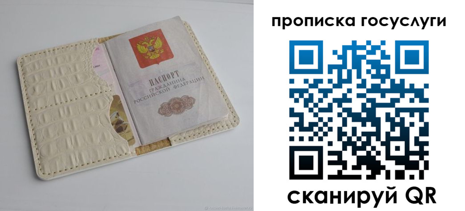 прописка в Боготоле